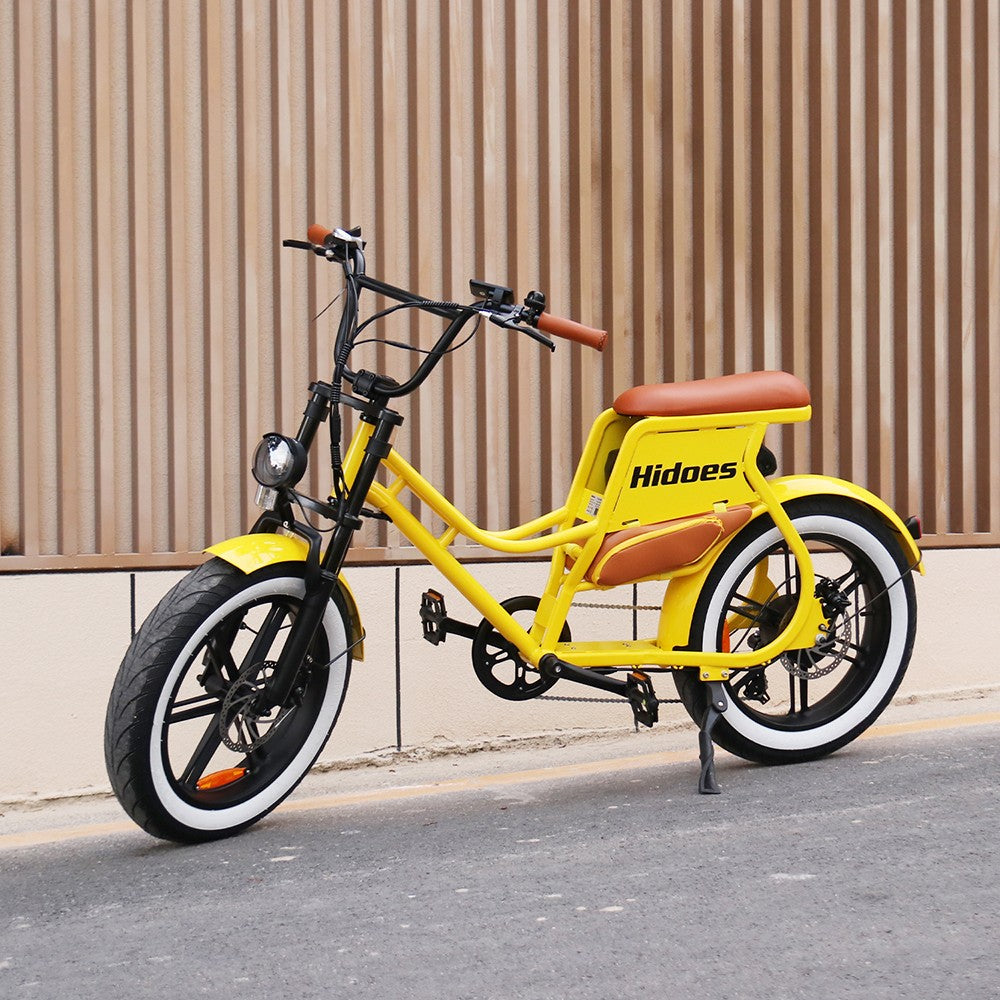 Hidoes C8 Electric Bike 20" Tires 700W Motor 48V 17Ah Battery
