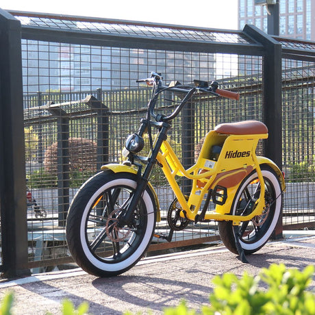 Hidoes C8 Electric Bike 20" Tires 700W Motor 48V 17Ah Battery