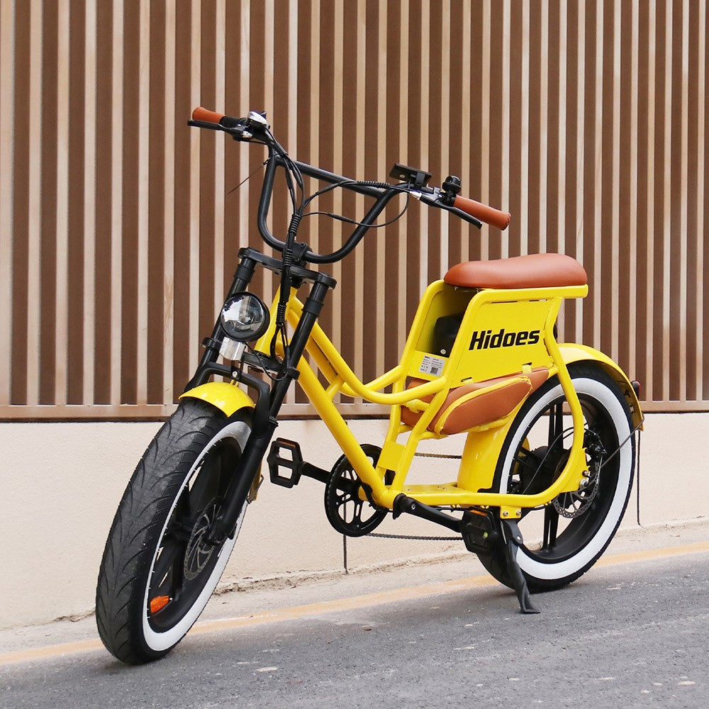 Hidoes C8 Electric Bike 20" Tires 700W Motor 48V 17Ah Battery