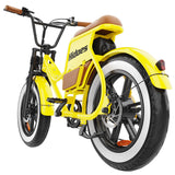 Hidoes C8 Electric Bike 20" Tires 700W Motor 48V 17Ah Battery