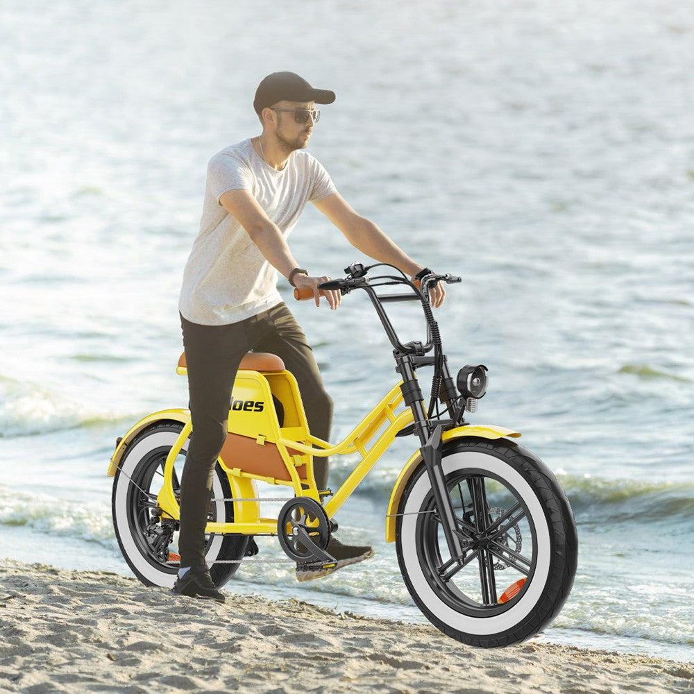 Hidoes C8 Electric Bike 20" Tires 700W Motor 48V 17Ah Battery