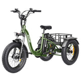 Vipcoo VC-ET1 Electric Cargo Tricycle 20" Tires 750W 48V 20Ah