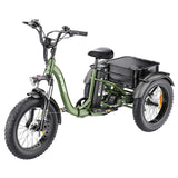 Vipcoo VC-ET1 Electric Cargo Tricycle 20" Tires 750W 48V 20Ah