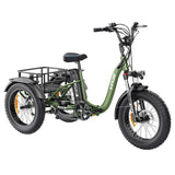 Vipcoo VC-ET1 Electric Cargo Tricycle 20" Tires 750W 48V 20Ah