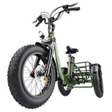 Vipcoo VC-ET1 Electric Cargo Tricycle 20" Tires 750W 48V 20Ah