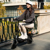 iScooter F2 Electric Scooter With Basket 10" Tires 500W 36V 7.8AH Battery