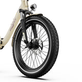 ONESPORT OT16-2 Electric Bike 20" Tires 250W Motor 48V 17Ah Battery