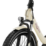 ONESPORT OT16-2 Electric Bike 20" Tires 250W Motor 48V 17Ah Battery