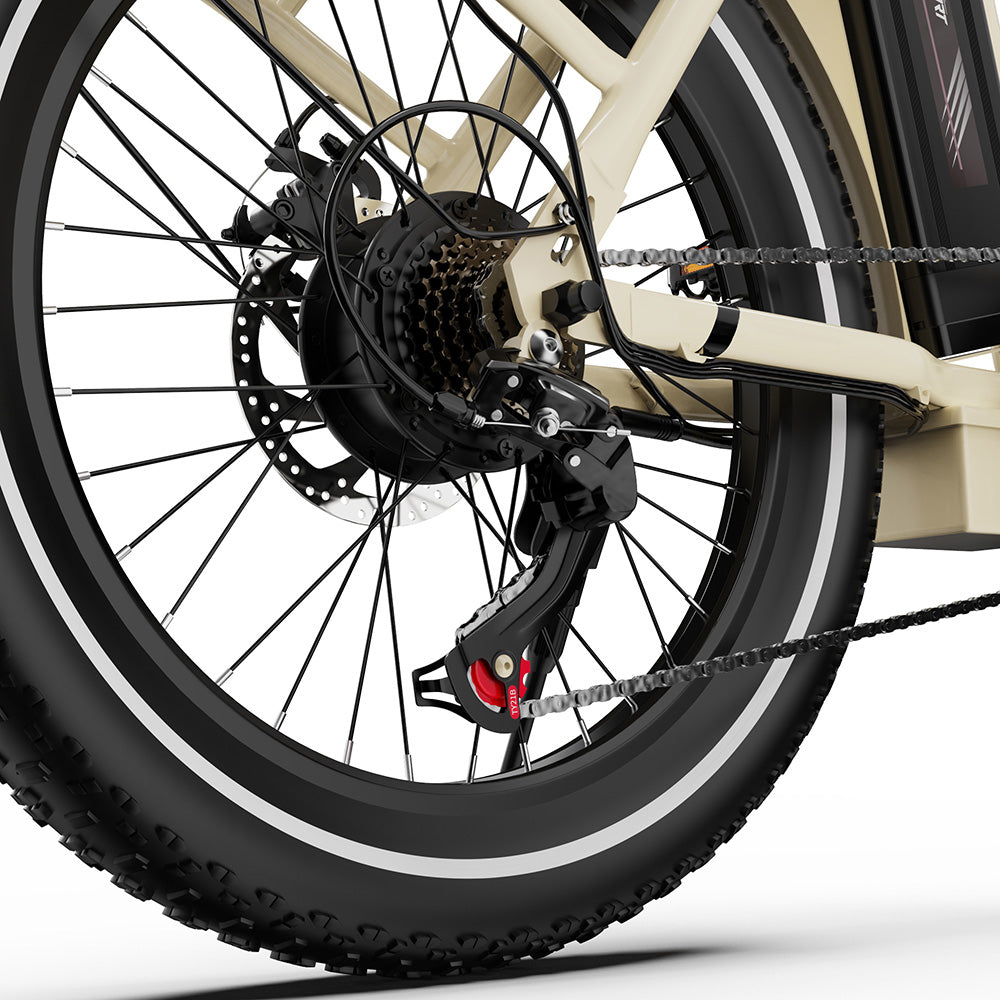 ONESPORT OT16-2 Electric Bike 20" Tires 250W Motor 48V 17Ah Battery