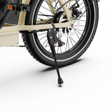 ONESPORT OT16-2 Electric Bike 20" Tires 250W Motor 48V 17Ah Battery