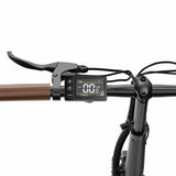 ONESPORT OT16-2 Electric Bike 20" Tires 250W Motor 48V 17Ah Battery