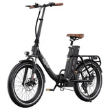 ONESPORT OT16-2 Electric Bike 20" Tires 250W Motor 48V 17Ah Battery