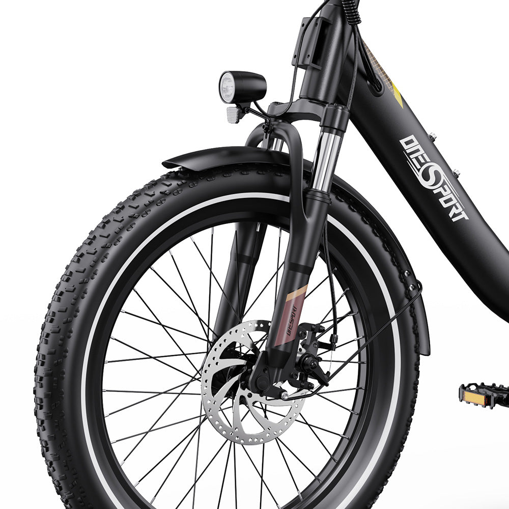 ONESPORT OT16-2 Electric Bike 20" Tires 250W Motor 48V 17Ah Battery