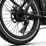 ONESPORT OT16-2 Electric Bike 20" Tires 250W Motor 48V 17Ah Battery