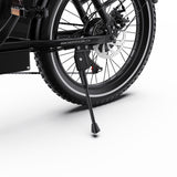 ONESPORT OT16-2 Electric Bike 20" Tires 250W Motor 48V 17Ah Battery