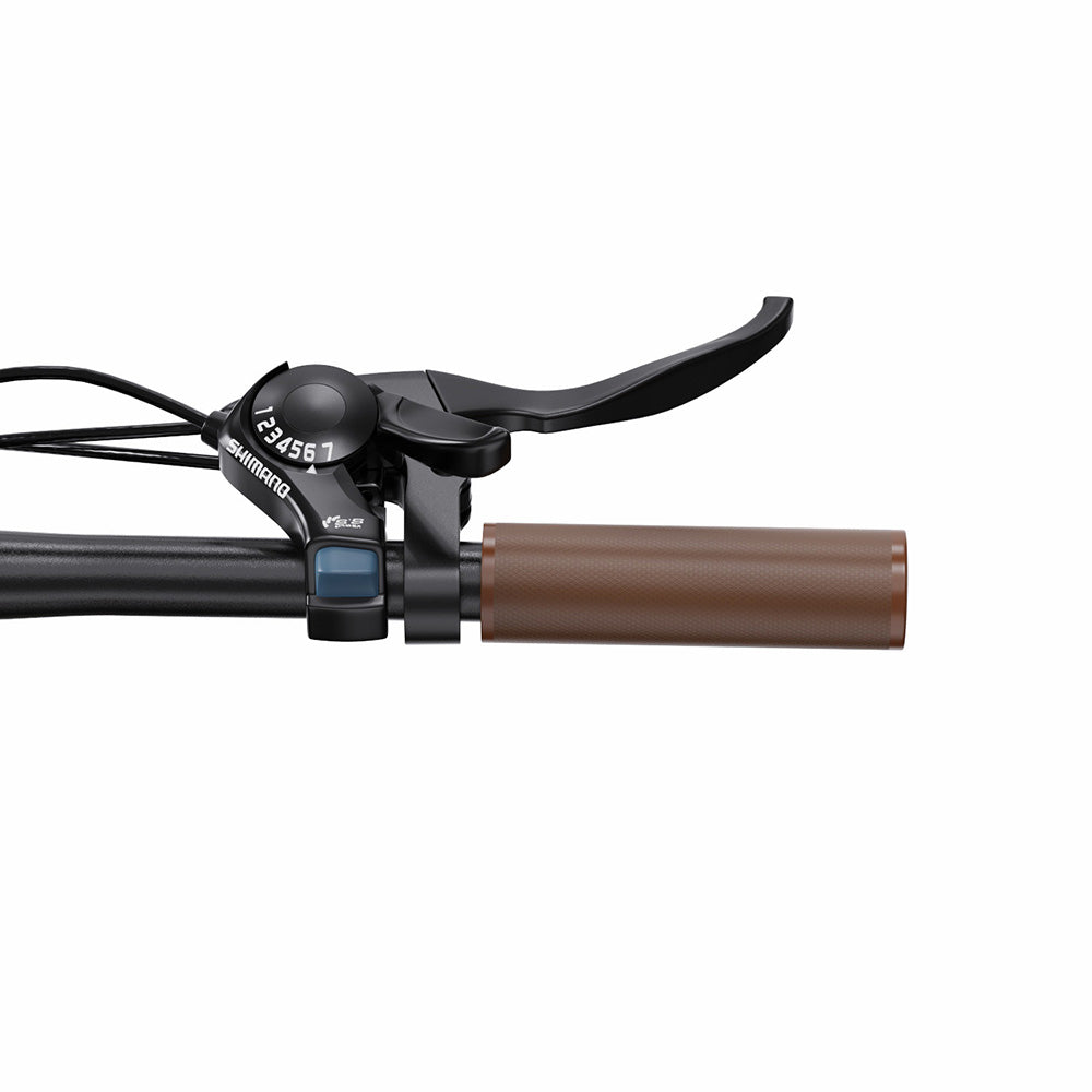 ONESPORT OT16-2 Electric Bike 20" Tires 250W Motor 48V 17Ah Battery