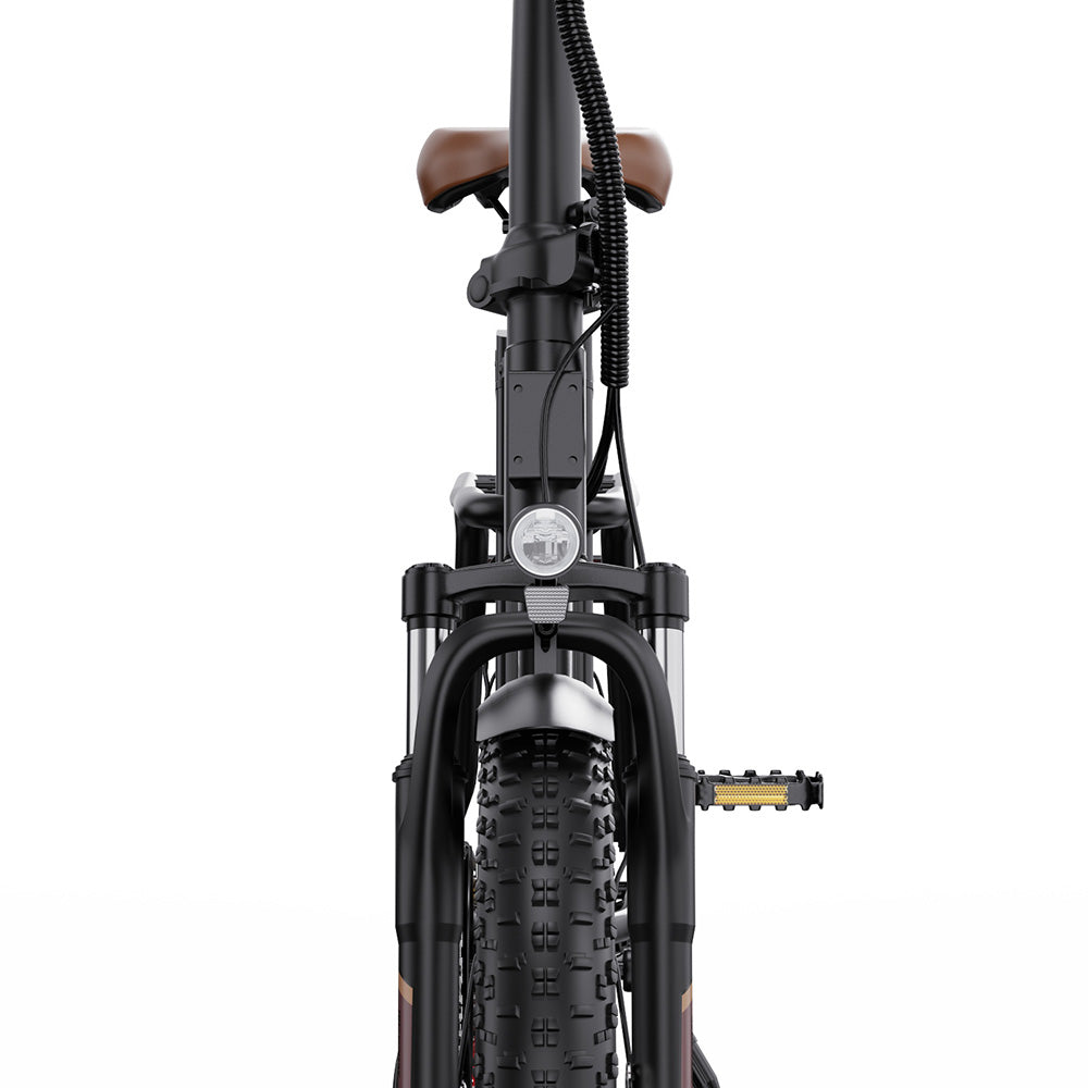 ONESPORT OT16-2 Electric Bike 20" Tires 250W Motor 48V 17Ah Battery