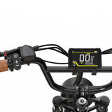 ONESPORT W77 Electric Bike 20" Tires 500W Motor 48V 18Ah Battery