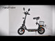 TWOFISH M5 Pro-E Electric Scooter 12" Tire 40km/h 500W 48V 13Ah Battery