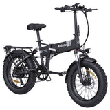 Ridstar H20 Folding Electric Bike 20" Fat Tires 1000W Motors 48V 15Ah Battery