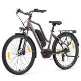 Touroll MA2 Electric Bike 27.5" Tire 250W Motor 36V 13Ah Battery