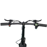 TWOFISH M5 Elite Electric Scooter 14" Tire 500W 48V 13Ah Battery
